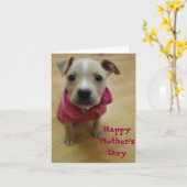 Carte Renoncule (Fleur jaune)