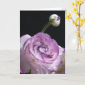 Carte Renoncule persane blanche d'asiaticus de (Fleur jaune)