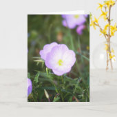 Carte Renoncules (Fleur jaune)