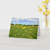Carte Renoncules dans le pré anglais (Fleur jaune)