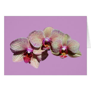 Carte renversante de fleur de trio d'orchidées