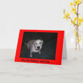 Carte Repéré conseillez (Fleur jaune)