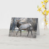 Carte Repos d'élans de Taureau (Fleur jaune)