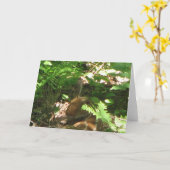 Carte Repose à découvert (Fleur jaune)