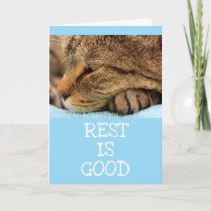 Carte Repose Cat Kitty Conseils Obtenez Bien