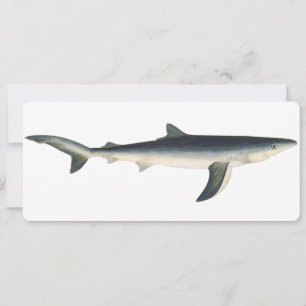 Carte Requin bleu vintage, Vie marine aquatique