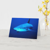 Carte requin taureau (Fleur jaune)
