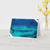 Carte Requins (Fleur jaune)