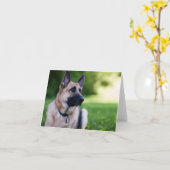 Carte Rescue Dog (Fleur jaune)