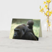 Carte Réserve faunique - Primates 11 (Fleur jaune)