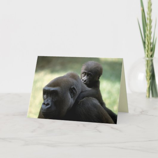 Carte Réserve faunique - Primates 11 (Devant)