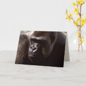 Carte Réserve faunique - Primates 13 (Fleur jaune)