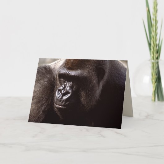 Carte Réserve faunique - Primates 13 (Devant)