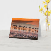 Carte Réserve nationale de faune andine Eduardo Abaroa (Fleur jaune)