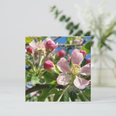 Carte Ressort des fleurs de pomme (Debout devant)