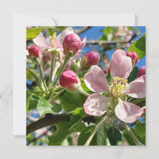 Carte Ressort des fleurs de pomme