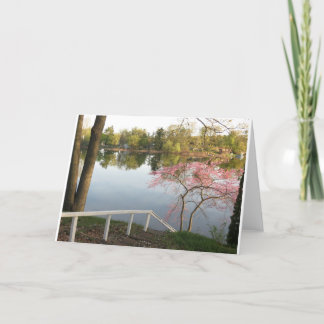Carte Ressort sur le lac Pine #2