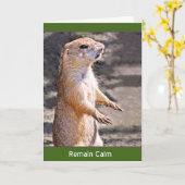 Carte Restez calme (Fleur jaune)