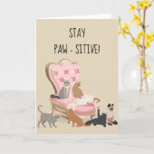 Carte Restez positifs, chat drôle et positif pense à vou (Fleur jaune)