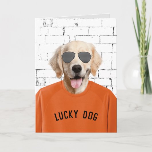 Carte Retrait Golden Retriever (Devant)