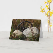 Carte Retraité (Fleur jaune)