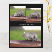 Carte Retraite drôle d'écureuil de la bande (Fleur jaune)