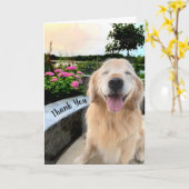 Carte Retriever doré au coucher du soleil Merci (Fleur jaune)