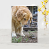 Carte Retriever doré d'anniversaire et grenouille en con (Fleur jaune)
