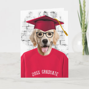 Carte retriever doré diplômé en t-shirt rouge