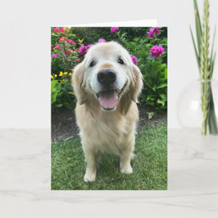 Carte Retriever doré souriant avec Merci de fleurs