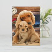 Carte Retriever du Labrador (Debout devant)