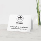 Carte Retriever - Golden (Dos)