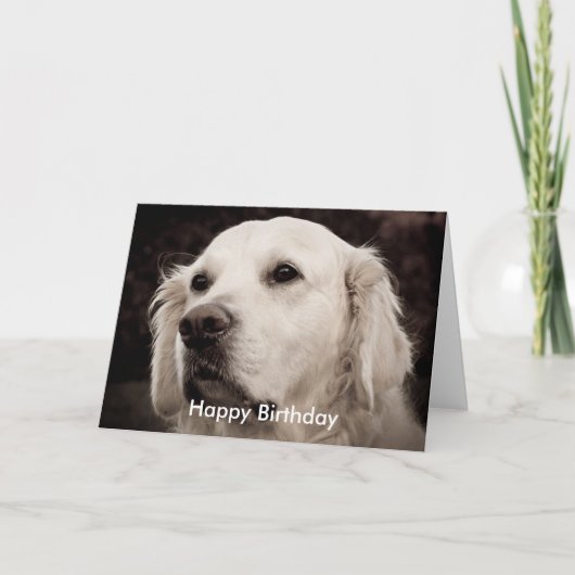 Carte Retriever - Golden (Devant)