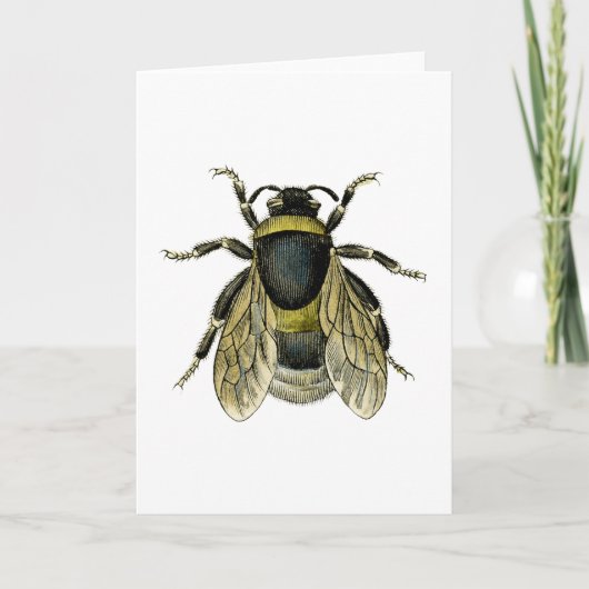 Carte Retro Bee Antique Illustration noir et jaune (Devant)