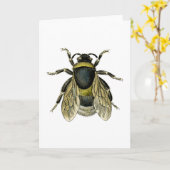 Carte Retro Bee Antique Illustration noir et jaune (Fleur jaune)