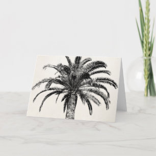 Carte Rétro palmier tropical d'île en noir et blanc