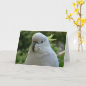 Carte Return of the almond muncher ! (Fleur jaune)