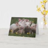 Carte Réunion des trois petits porcs (Fleur jaune)
