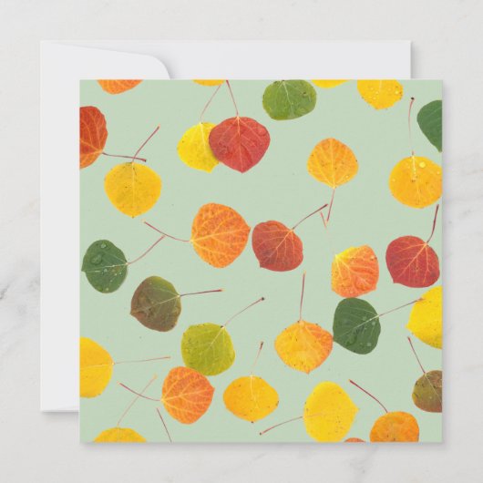 Carte Réunion Familiale Enregistrer La Date Automne Aspe (Dos)