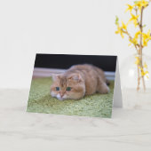 Carte rêve Hosico (Fleur jaune)
