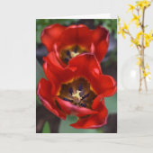 Carte Réveil du printemps, Tulipes (Fleur jaune)