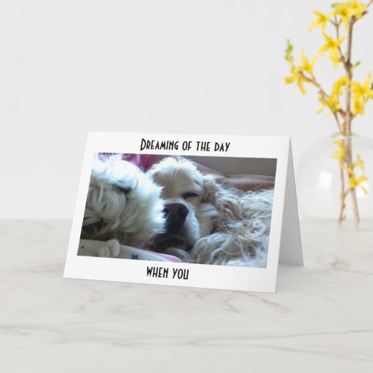 CARTE RÊVER QUE VOUS ÊTES PLUS ÂGÉ QUE MOI=ANNIVERSAIRE (Fleur jaune)