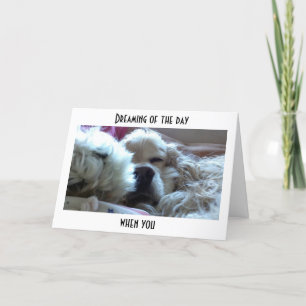 CARTE RÊVER QUE VOUS ÊTES PLUS ÂGÉ QUE MOI=ANNIVERSAIRE