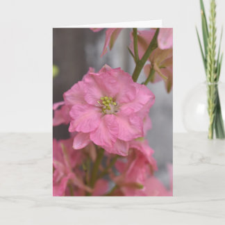 Carte Reverence Rosée – Fleur Rose en Macro Florale