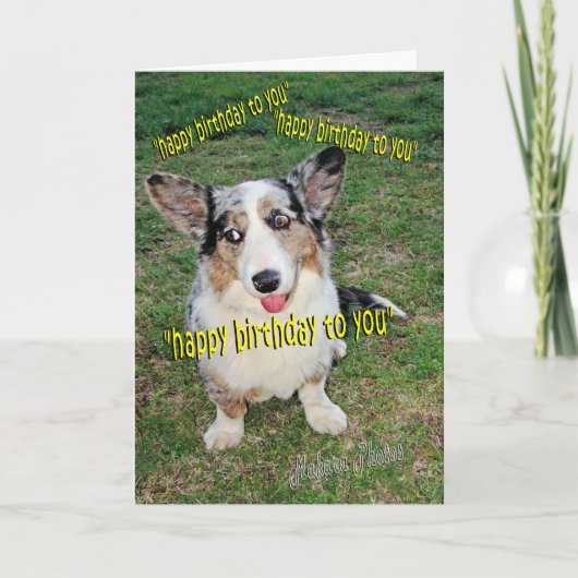 Carte Rêves de gâteau de chienchien (Devant)