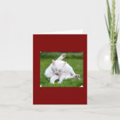 Carte Rêves de Noël (Devant)