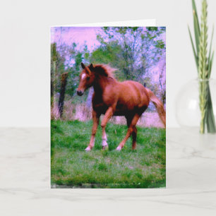 Carte Rêves de printemps, trottant alezan, Anniversaire