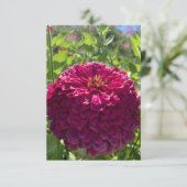 Carte "Rêves roses foncées" en Z (Debout devant)