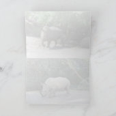 Carte Rhino (Intérieur)