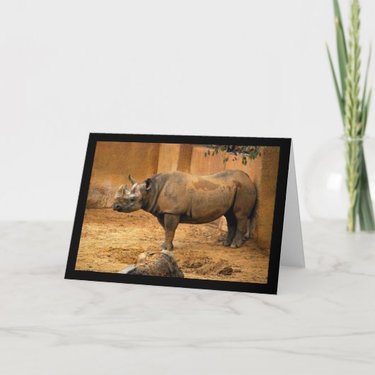 Carte Rhinocéros Dos Au Mur (Devant)